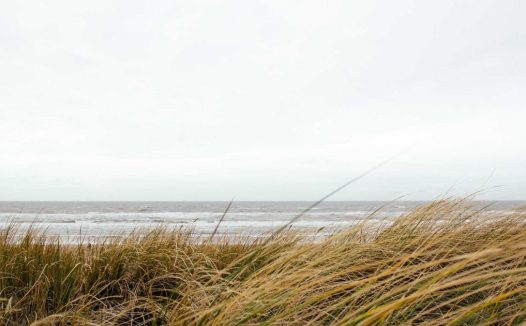 到底什么是项目控制？——一个"严重被低估"的专业！